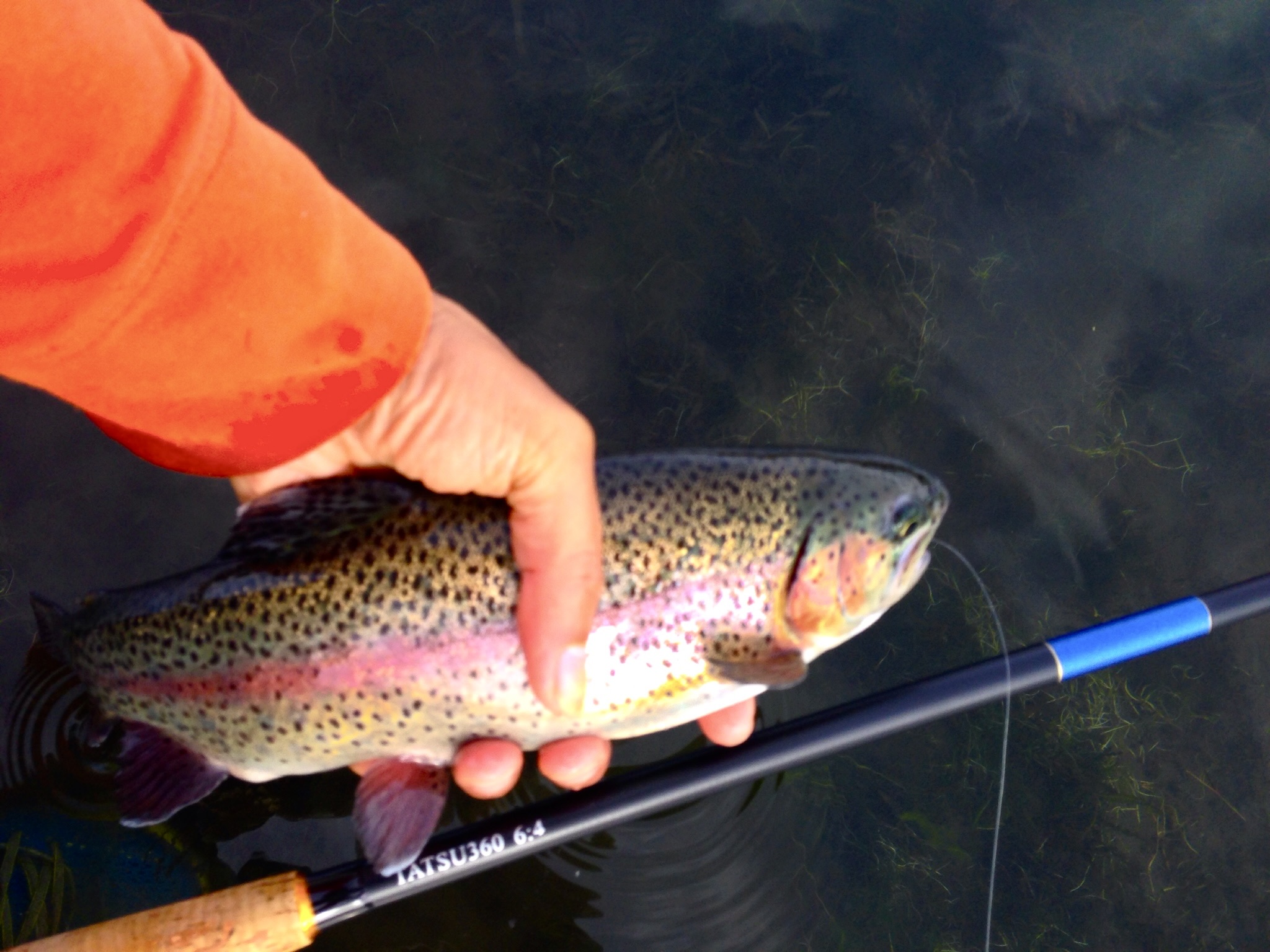 Choosing My First Tenkara Rod — An Engineer’s Perspective